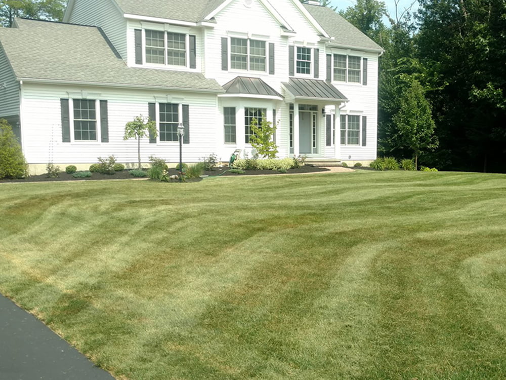 Lawn Care The Lawn Ranger