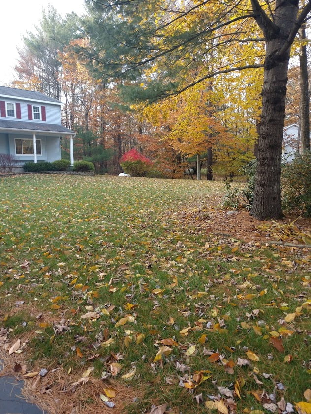 Seasonal Cleanup Saratoga, Niskayuna, Latham, NY