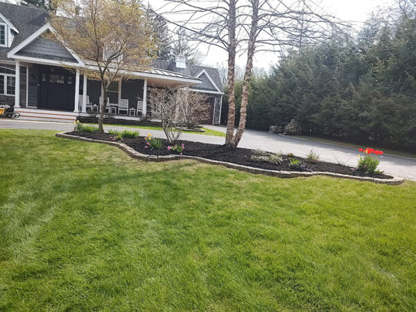 Gallery - The Lawn Ranger
